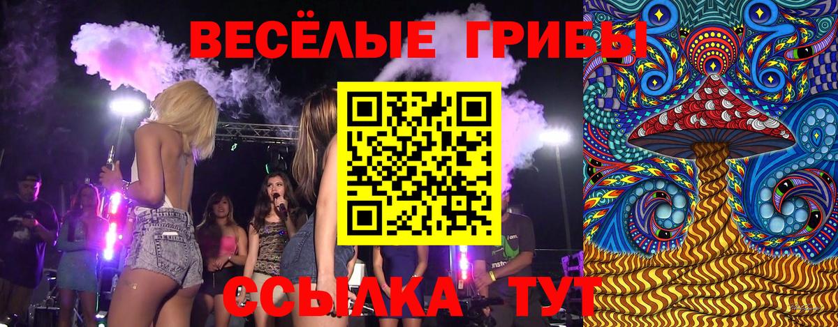 Псилоцибиновые грибы Cubensis Мурманск