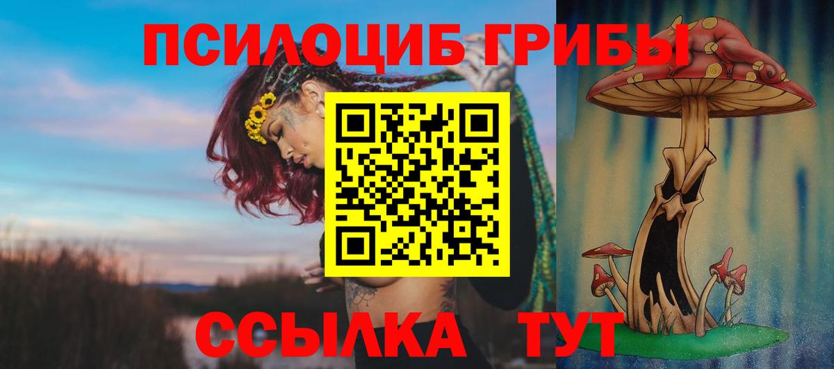 Псилоцибиновые грибы Psilocybe  Псилоцибиновые грибы прущие грибы  Мурманск  сколько стоит  Вход с VPN 